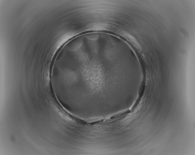 X0000110931226200906181422