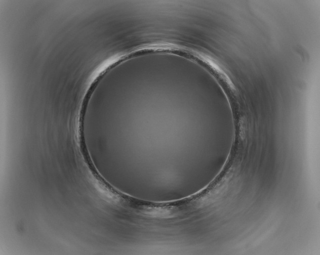 X0000110931229200906181422