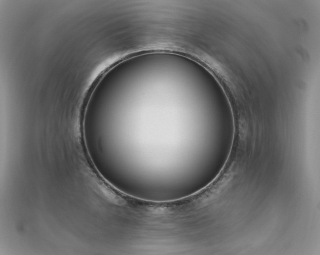 X0000110931230200906181422
