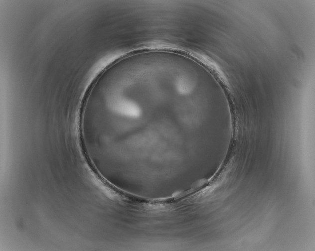 X0000110931231200906181422