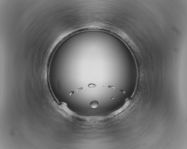X0000110931232200906181422