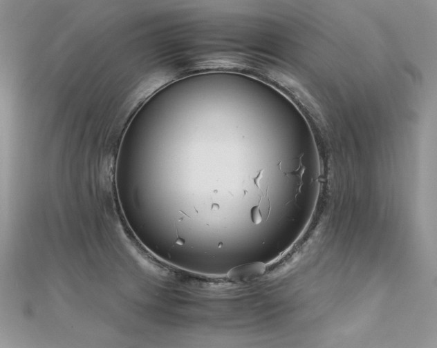 X0000110931233200906181422