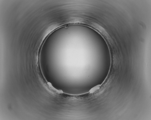 X0000110931234200906181422