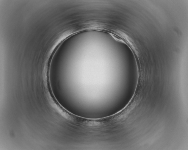 X0000110931235200906181422