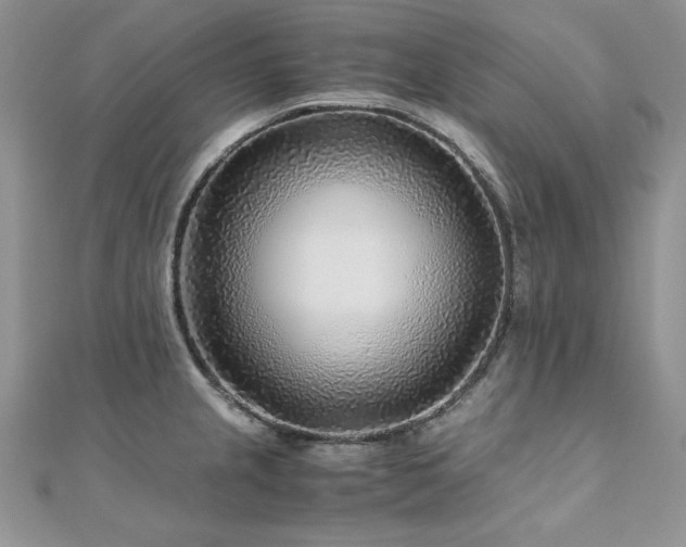 X0000110931237200906181422