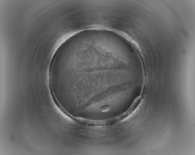 X0000110931239200906181422
