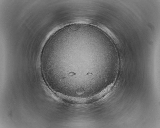X0000110931240200906181422