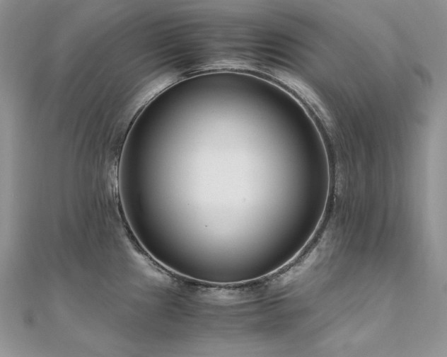 X0000110931241200906181422