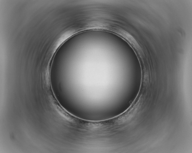 X0000110931242200906181422