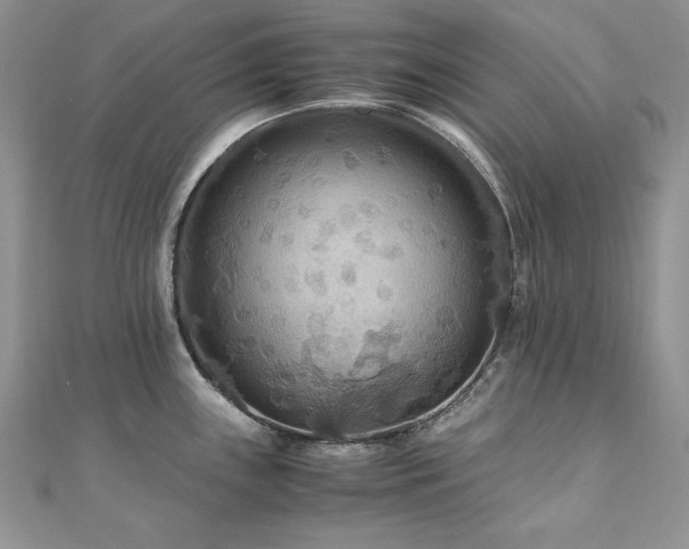 X0000110931243200906181422