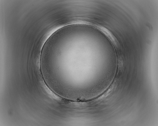 X0000110931244200906181422