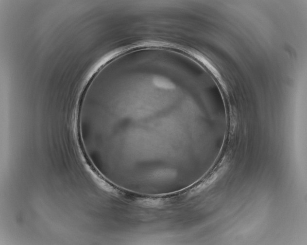 X0000110931245200906181422