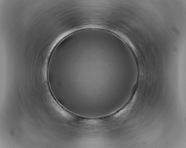 X0000110931246200906181422