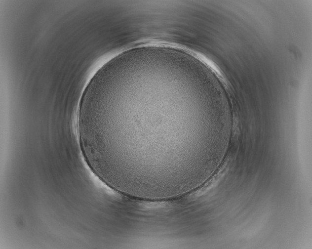 X0000110931247200906181422