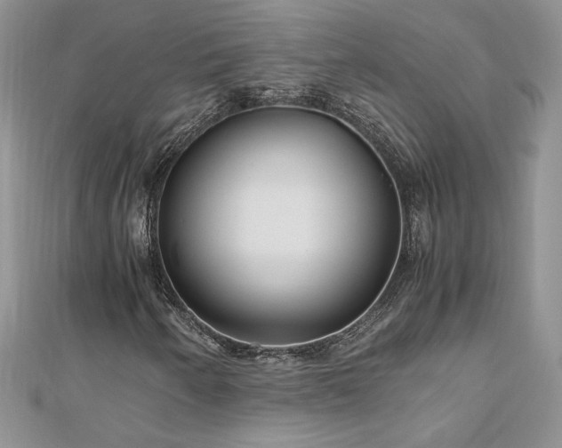 X0000110931250200906181422
