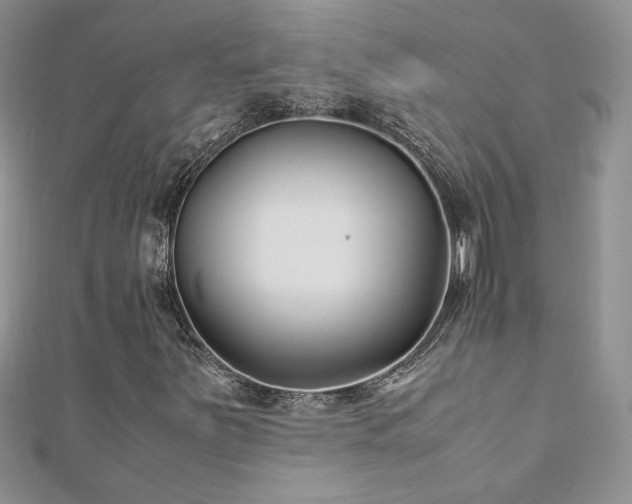 X0000110931251200906181422
