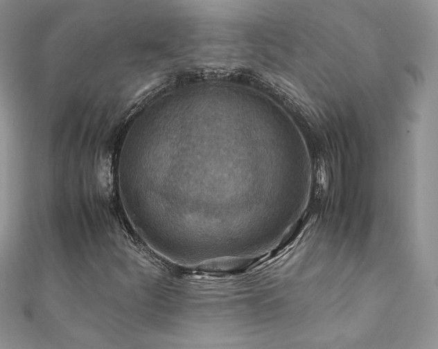 X0000110931252200906181422
