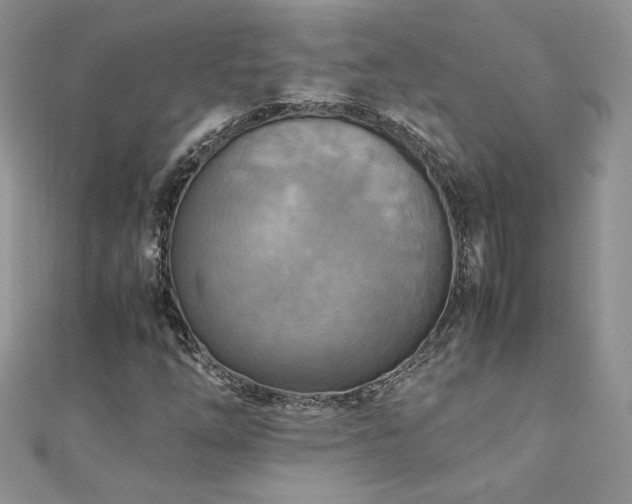 X0000110931254200906181422