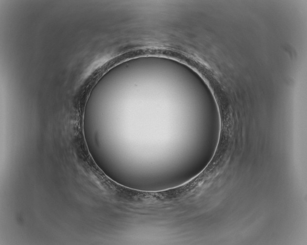 X0000110931255200906181422