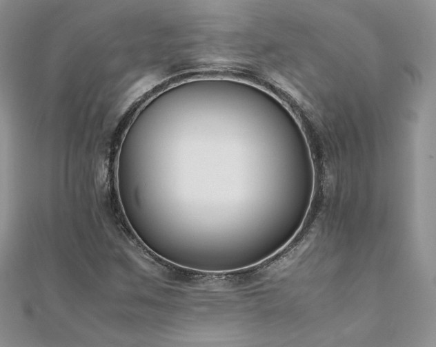 X0000110931259200906181422