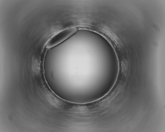 X0000110931260200906181422