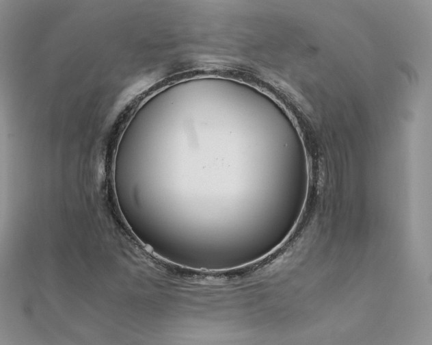 X0000110931261200906181422