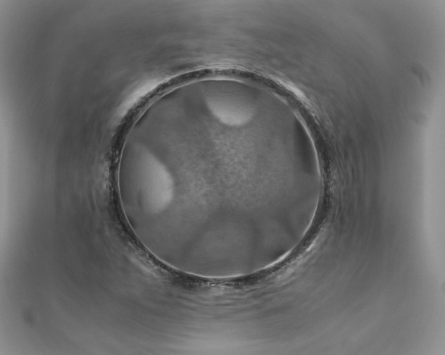 X0000110931263200906181422