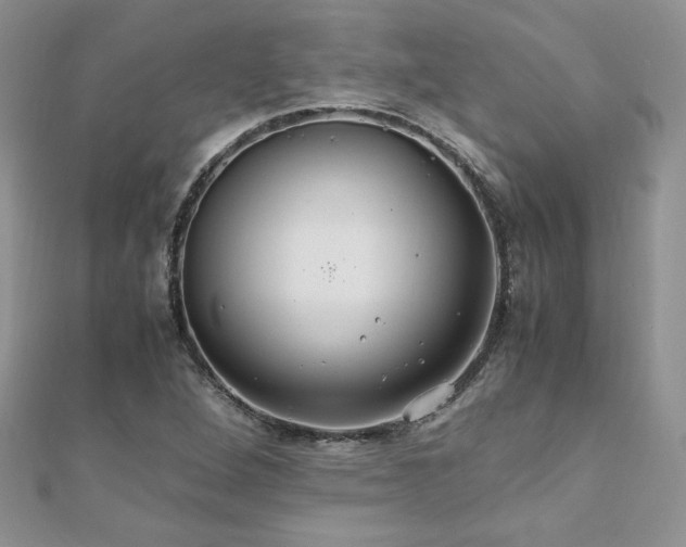 X0000110931264200906181422