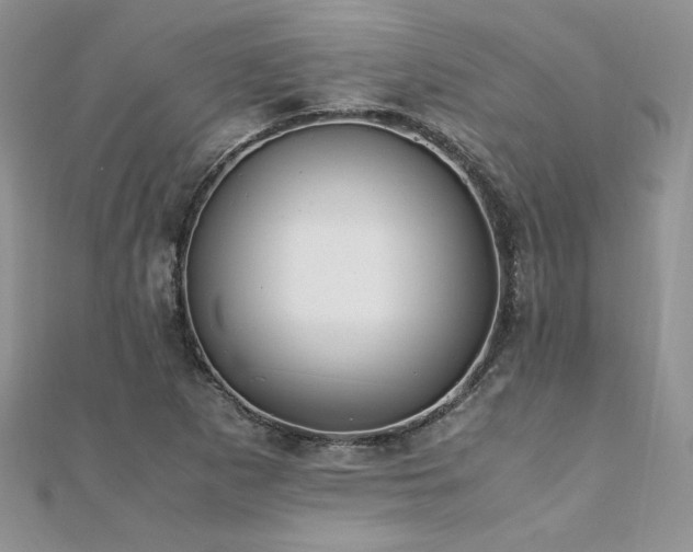 X0000110931265200906181422