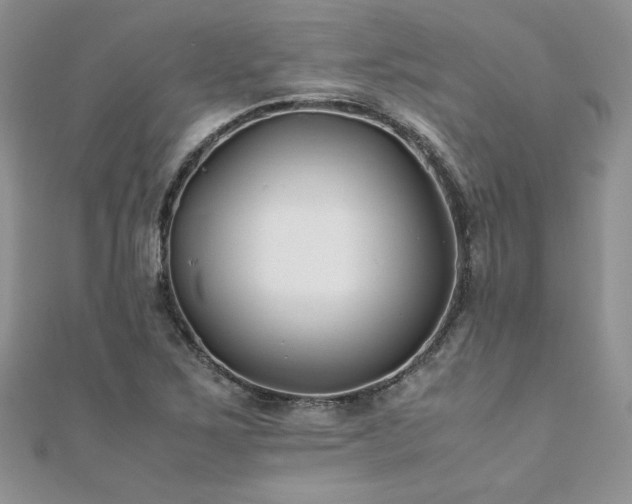 X0000110931267200906181422