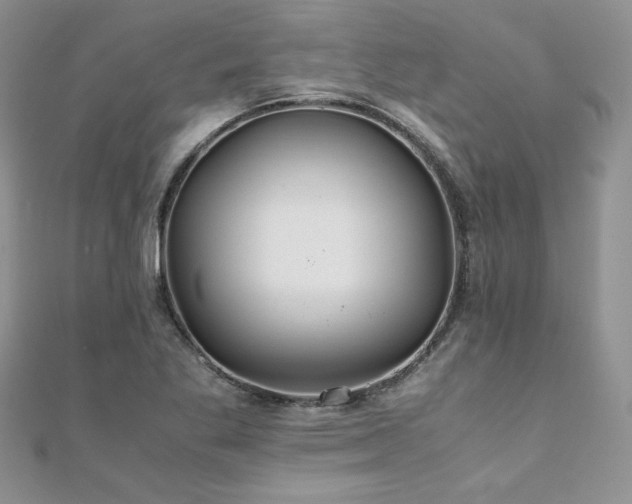 X0000110931269200906181422