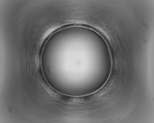 X0000110931271200906181422