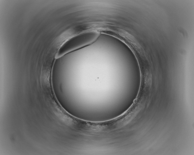 X0000110931273200906181422