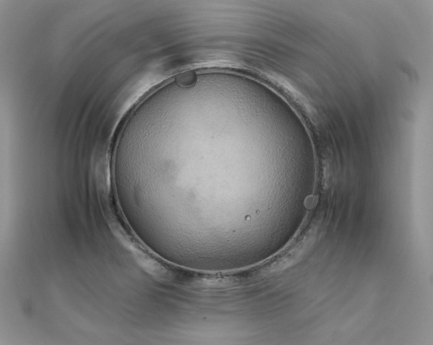 X0000110931274200906181422