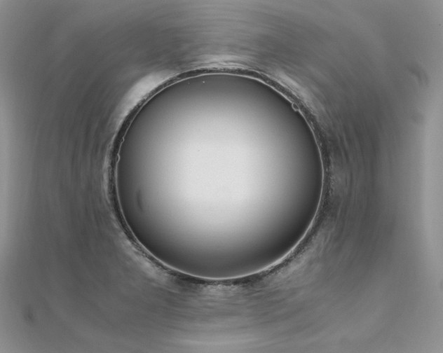 X0000110931277200906181422