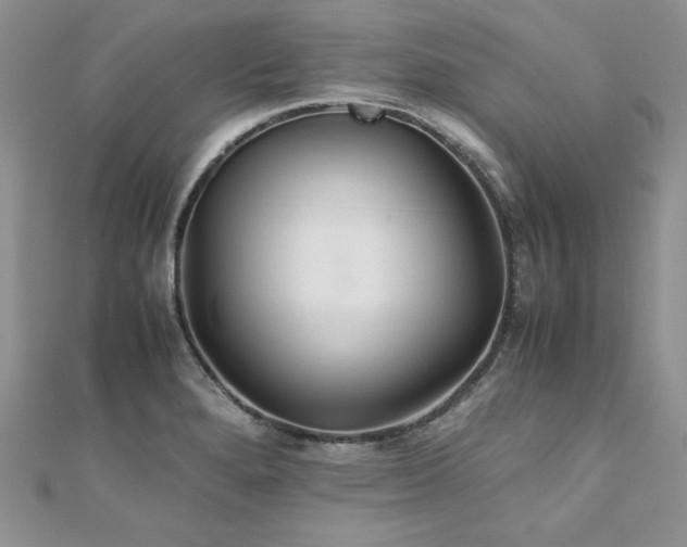 X0000110931280200906181421