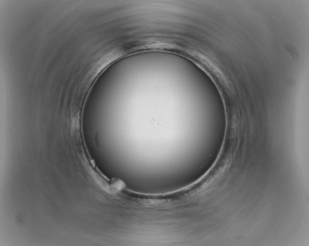 X0000110931281200906181421