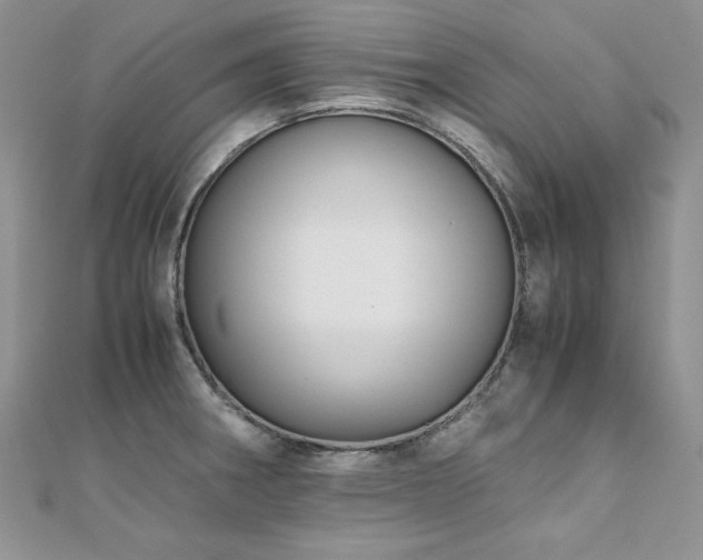 X0000110931282200906181421