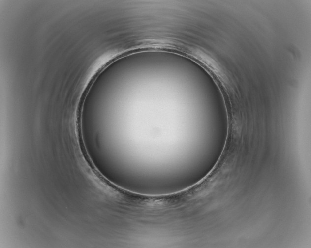 X0000110931283200906181421