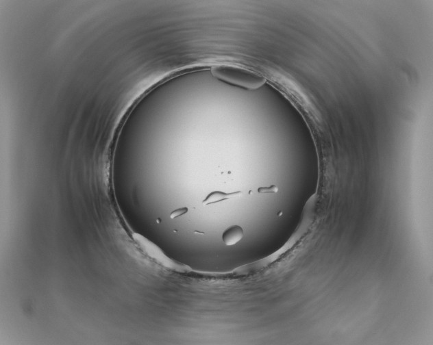 X0000110931284200906181421