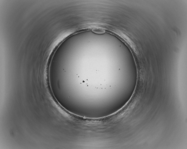 X0000110931285200906181421