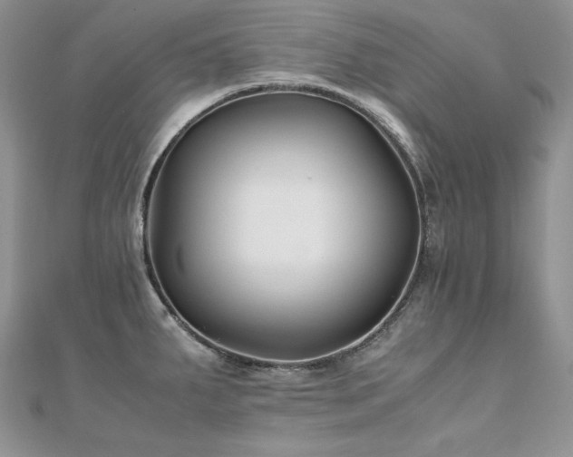 X0000110931287200906181421