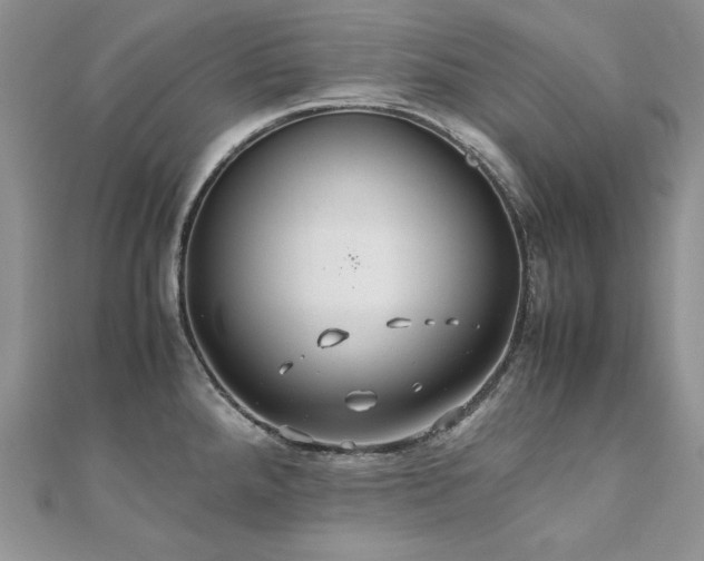 X0000110931288200906181421