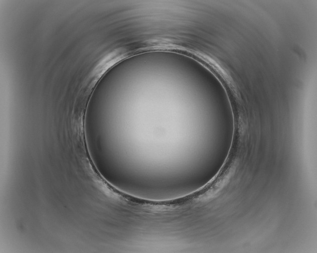 X0000110931289200906181421