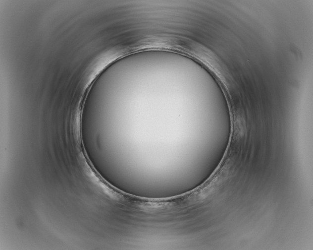X0000110931290200906181421