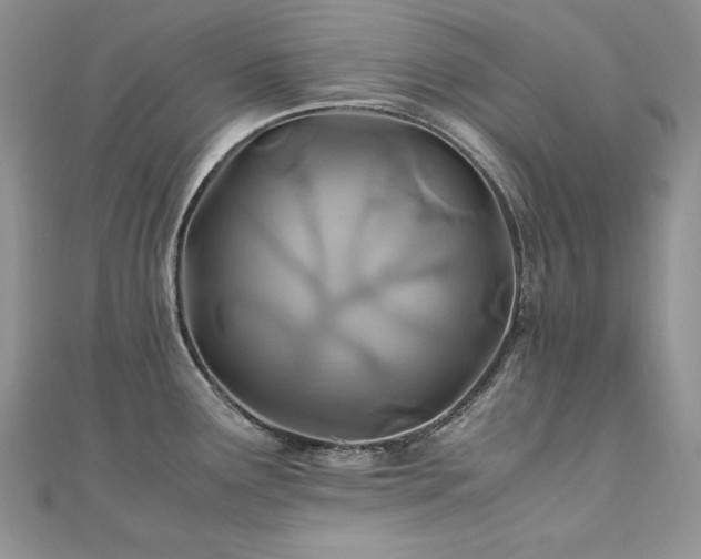 X0000110931291200906181421