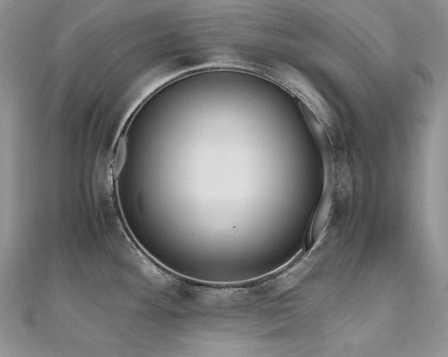 X0000110931292200906181421