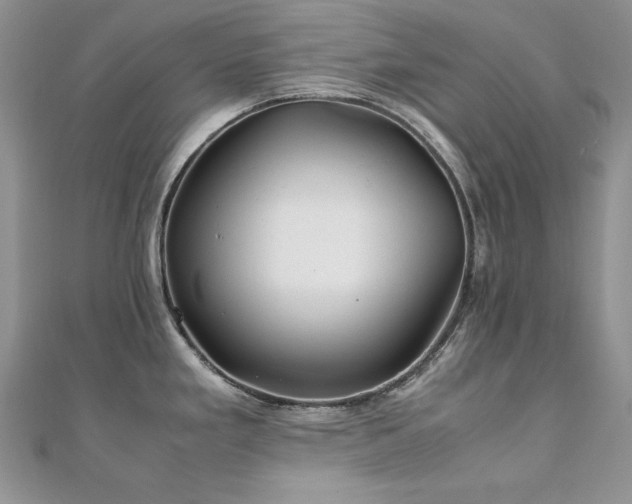 X0000110931293200906181421