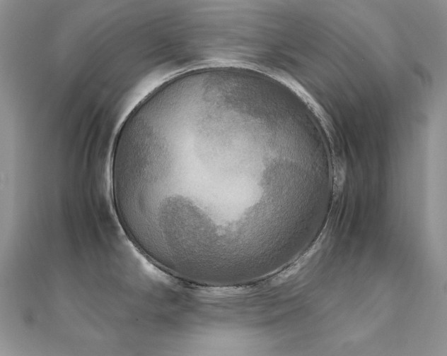 X0000110931294200906181421