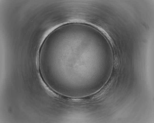 X0000110931295200906181421
